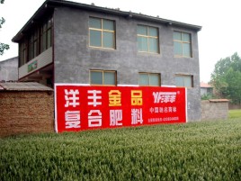 绵竹如何让墙体广告展现最大化效果