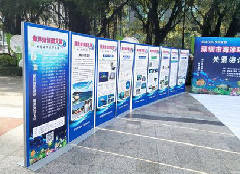 绵竹KT板的种类和知识。